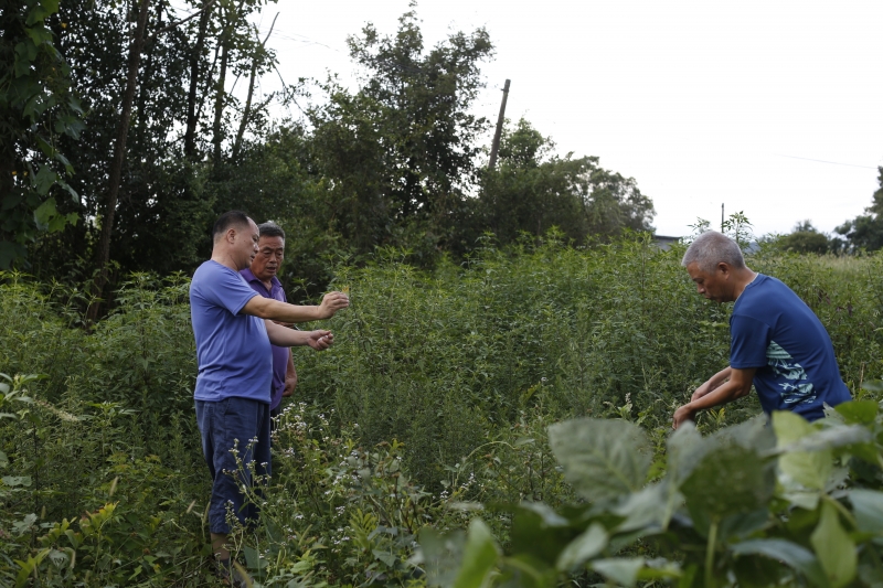 衡陽幼兒師專赴常寧開展鄉(xiāng)村振興實(shí)地走訪調(diào)研